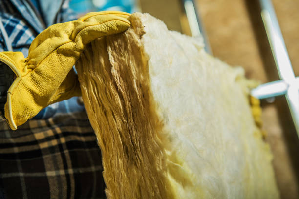 Best Soundproof Insulation Installation  in Waconia, MN